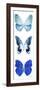 Miss Butterfly X-Ray White Pano II-Philippe Hugonnard-Framed Photographic Print