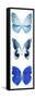 Miss Butterfly X-Ray White Pano II-Philippe Hugonnard-Framed Stretched Canvas