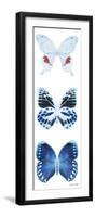 Miss Butterfly X-Ray White Pano-Philippe Hugonnard-Framed Photographic Print