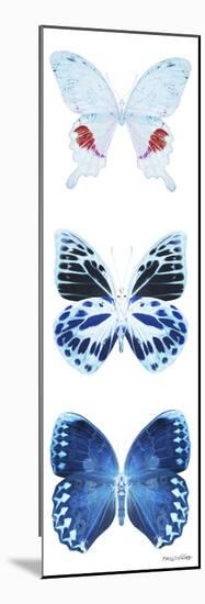 Miss Butterfly X-Ray White Pano-Philippe Hugonnard-Mounted Photographic Print