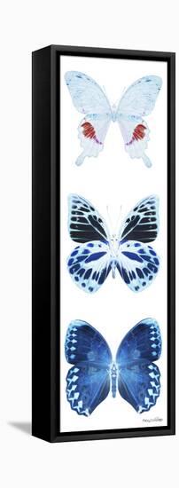 Miss Butterfly X-Ray White Pano-Philippe Hugonnard-Framed Stretched Canvas