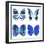 Miss Butterfly X-Ray White Square II-Philippe Hugonnard-Framed Premium Photographic Print