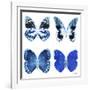 Miss Butterfly X-Ray White Square II-Philippe Hugonnard-Framed Photographic Print