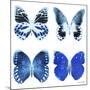 Miss Butterfly X-Ray White Square II-Philippe Hugonnard-Mounted Photographic Print