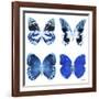 Miss Butterfly X-Ray White Square II-Philippe Hugonnard-Framed Photographic Print