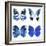 Miss Butterfly X-Ray White Square II-Philippe Hugonnard-Framed Photographic Print