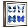 Miss Butterfly X-Ray White Square II-Philippe Hugonnard-Framed Photographic Print