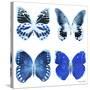 Miss Butterfly X-Ray White Square II-Philippe Hugonnard-Stretched Canvas