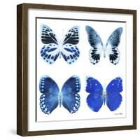 Miss Butterfly X-Ray White Square II-Philippe Hugonnard-Framed Photographic Print