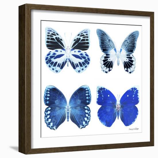 Miss Butterfly X-Ray White Square II-Philippe Hugonnard-Framed Photographic Print