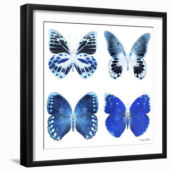 Miss Butterfly X-Ray White Square II-Philippe Hugonnard-Framed Photographic Print