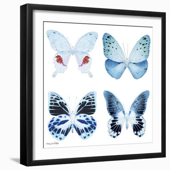 Miss Butterfly X-Ray White Square-Philippe Hugonnard-Framed Photographic Print