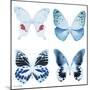 Miss Butterfly X-Ray White Square-Philippe Hugonnard-Mounted Photographic Print
