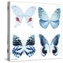Miss Butterfly X-Ray White Square-Philippe Hugonnard-Stretched Canvas