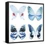 Miss Butterfly X-Ray White Square-Philippe Hugonnard-Framed Stretched Canvas