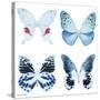 Miss Butterfly X-Ray White Square-Philippe Hugonnard-Stretched Canvas