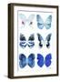 Miss Butterfly X-Ray White-Philippe Hugonnard-Framed Photographic Print