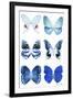 Miss Butterfly X-Ray White-Philippe Hugonnard-Framed Premium Photographic Print