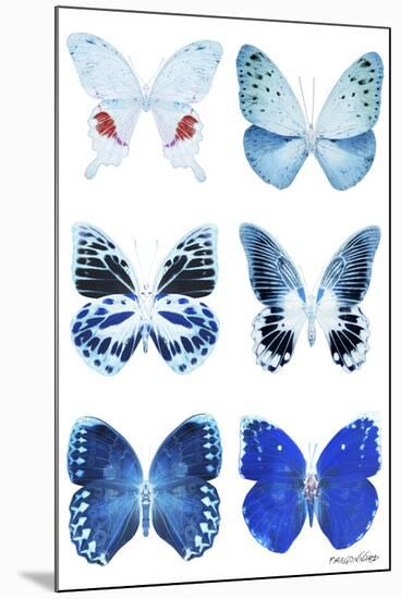 Miss Butterfly X-Ray White-Philippe Hugonnard-Mounted Premium Photographic Print