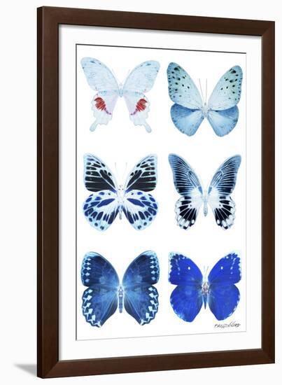 Miss Butterfly X-Ray White-Philippe Hugonnard-Framed Photographic Print