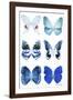Miss Butterfly X-Ray White-Philippe Hugonnard-Framed Photographic Print