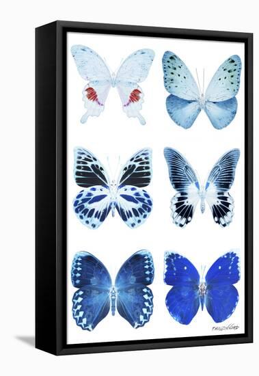 Miss Butterfly X-Ray White-Philippe Hugonnard-Framed Stretched Canvas