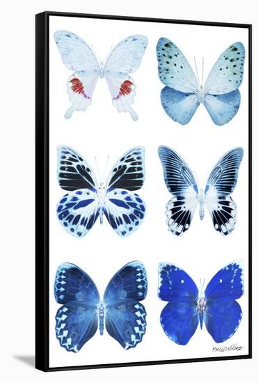 Miss Butterfly X-Ray White-Philippe Hugonnard-Framed Stretched Canvas