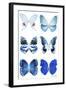 Miss Butterfly X-Ray White-Philippe Hugonnard-Framed Photographic Print