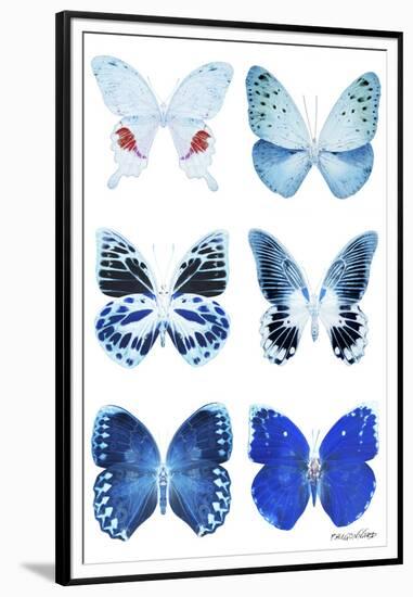 Miss Butterfly X-Ray White-Philippe Hugonnard-Framed Premium Photographic Print