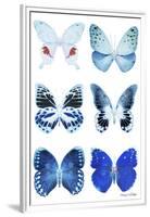 Miss Butterfly X-Ray White-Philippe Hugonnard-Framed Premium Photographic Print