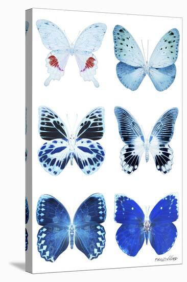 Miss Butterfly X-Ray White-Philippe Hugonnard-Stretched Canvas