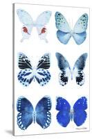 Miss Butterfly X-Ray White-Philippe Hugonnard-Stretched Canvas