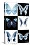 Miss Butterfly X-Ray-Philippe Hugonnard-Stretched Canvas