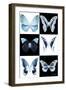 Miss Butterfly X-Ray-Philippe Hugonnard-Framed Photographic Print