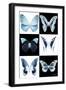 Miss Butterfly X-Ray-Philippe Hugonnard-Framed Photographic Print