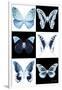 Miss Butterfly X-Ray-Philippe Hugonnard-Framed Photographic Print