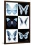 Miss Butterfly X-Ray-Philippe Hugonnard-Framed Photographic Print