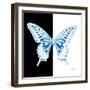 Miss Butterfly Xuthus Sq - X Ray B&W Edition-Philippe Hugonnard-Framed Photographic Print