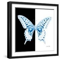 Miss Butterfly Xuthus Sq - X Ray B&W Edition-Philippe Hugonnard-Framed Photographic Print