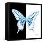 Miss Butterfly Xuthus Sq - X Ray B&W Edition-Philippe Hugonnard-Framed Stretched Canvas