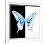 Miss Butterfly Xuthus Sq - X Ray B&W Edition-Philippe Hugonnard-Framed Photographic Print