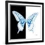 Miss Butterfly Xuthus Sq - X Ray B&W Edition-Philippe Hugonnard-Framed Photographic Print