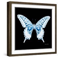 Miss Butterfly Xuthus Sq - X Ray Black Edition-Philippe Hugonnard-Framed Photographic Print