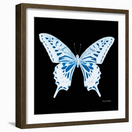 Miss Butterfly Xuthus Sq - X Ray Black Edition-Philippe Hugonnard-Framed Photographic Print