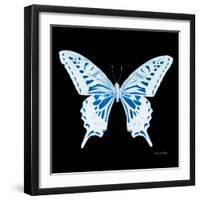 Miss Butterfly Xuthus Sq - X Ray Black Edition-Philippe Hugonnard-Framed Photographic Print