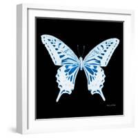 Miss Butterfly Xuthus Sq - X Ray Black Edition-Philippe Hugonnard-Framed Photographic Print