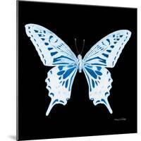 Miss Butterfly Xuthus Sq - X Ray Black Edition-Philippe Hugonnard-Mounted Photographic Print
