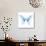 Miss Butterfly Xuthus Sq - X Ray White Edition-Philippe Hugonnard-Photographic Print displayed on a wall