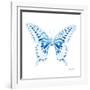 Miss Butterfly Xuthus Sq - X Ray White Edition-Philippe Hugonnard-Framed Photographic Print