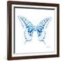 Miss Butterfly Xuthus Sq - X Ray White Edition-Philippe Hugonnard-Framed Photographic Print